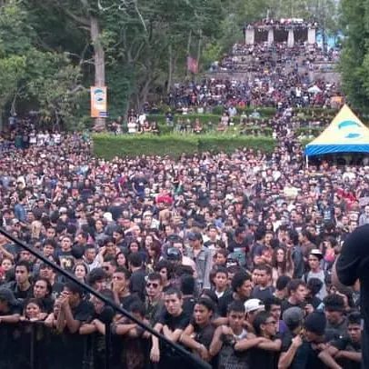 LIVE WIRE gallery image 108