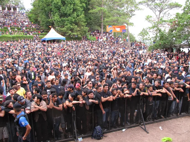 LIVE WIRE gallery image 018